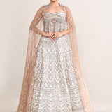 Pastel Cream Net Embroidered Lehenga Set