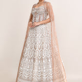 Pastel Cream Net Embroidered Lehenga Set