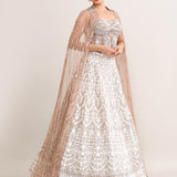 Pastel Cream Net Embroidered Lehenga Set