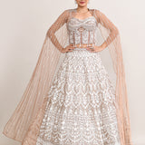 Pastel Cream Net Embroidered Lehenga Set