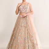 Sand Beige Net Embroidered Lehenga Set
