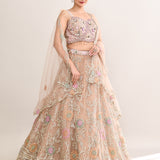 Sand Beige Net Embroidered Lehenga Set