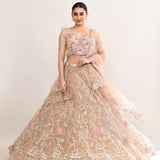 Sand Beige Net Embroidered Lehenga Set
