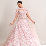 Soft Pink Net Embroidered Lehenga Set