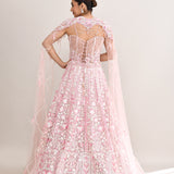 Soft Pink Net Embroidered Lehenga Set