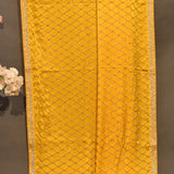 Radiant Golden Yellow Organza Saree With Silver Beaded Diamond Lattice Pattern