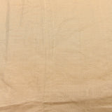 Beige Organza Tissue Saree With Hand-Painted Floral Design And Gold Zari Border