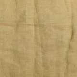 Beige Organza Tissue Saree With Embroidered Birds And Floral Motifs With Gold Border