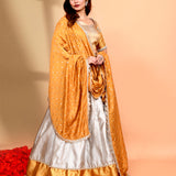 Silver Tone Silk Brocade Lehenga Set