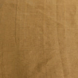 Beige Tissue Saree With Hand-Painted Floral And Bird Design With Gold Border