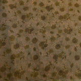 Olive Green Printed Organza Tissue Saree With Embroidered Zari Border