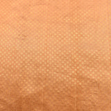 Peach Organza Tissue Designer Saree With Embroidered Floral Jaal