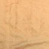 Elegant Beige Organza Tissue Saree With Hand-Embroidered Mughal Birds & Botanical Design