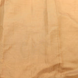 Beige Pink Designer Organza Tissue Saree With Hand-Painted Floral & Botanical Embroidery