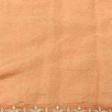Charming Peach Organza Tissue Saree With Hand-Embroidered Floral Garden & Bird Motifs