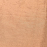 Sophisticated Beige Organza Tissue Saree With Hand-Embroidered Birds, Florals & Pichwai Design