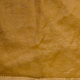 Beige Embroidered Tissue Saree With Pink Rose Vine
