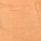 Peach Organza Tissue Embroidered Saree With Sequin Floral Details