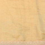 Graceful Beige Organza Tissue Saree With Hand-Embroidered Botanical Floral Design