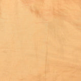 Exquisite Beige Organza Tissue Saree With Hand-Embroidered Large Rose Florals & Gold Border