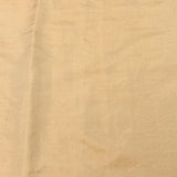 Delicate Beige Organza Tissue Saree With Hand-Embroidered Scattered Floral & Vine Design
