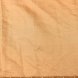 Elegant Beige Organza Tissue Saree With Hand-Embroidered Floral, Birds & Beaded Pallu