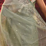 Pale Green Floral Tissue Organza Saree