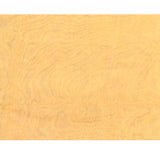Pale Yellow Floral Tissue Organza Saree