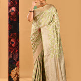 Pastel Green Tortoise Shell Jaal Banarasi Silk Saree