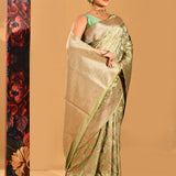 Pastel Green Tortoise Shell Jaal Banarasi Silk Saree