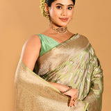 Pastel Green Tortoise Shell Jaal Banarasi Silk Saree