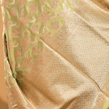 Pastel Green Tortoise Shell Jaal Banarasi Silk Saree