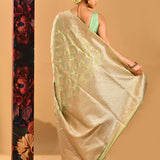Pastel Green Tortoise Shell Jaal Banarasi Silk Saree