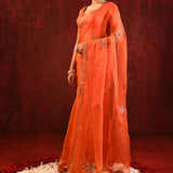 Bright Orange Embroidered Gomatha Organza Saree
