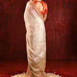 Soft Gold Metallic Tissue Embroidered Saree