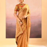 Golden Embroidered Metallic Tissue Saree