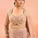 Dusty Rose Zardozi Embroidered Crop Top Lehenga