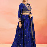 Royal Sapphire All Over Embroidered Lehenga Set