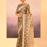 Earthy Green Tissue Embroidered Saree