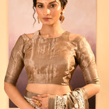 Earthy Green Tissue Embroidered Saree