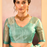 Mint Green Tissue Embroidered Saree