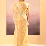 Soft Yellow Tissue Embroidered Saree