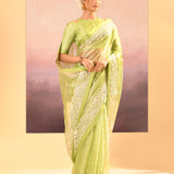 Pear Green Tissue Embroidered Saree