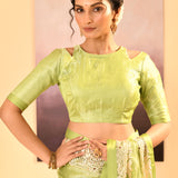 Pear Green Tissue Embroidered Saree