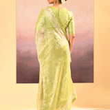 Pear Green Tissue Embroidered Saree