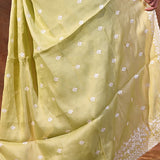 Pastel Lime Green Floral Silk Blend Saree