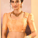 Golden Beige Tissue Embroidered Saree