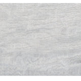 Pale Blue Floral Tissue Organza Saree