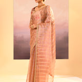 Pastel Beige Embroidered Tissue Saree