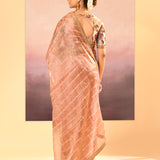Pastel Beige Embroidered Tissue Saree